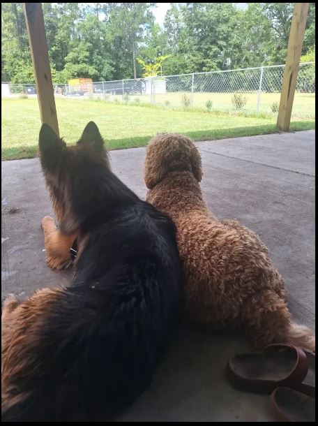 Comfortable Rest Areas