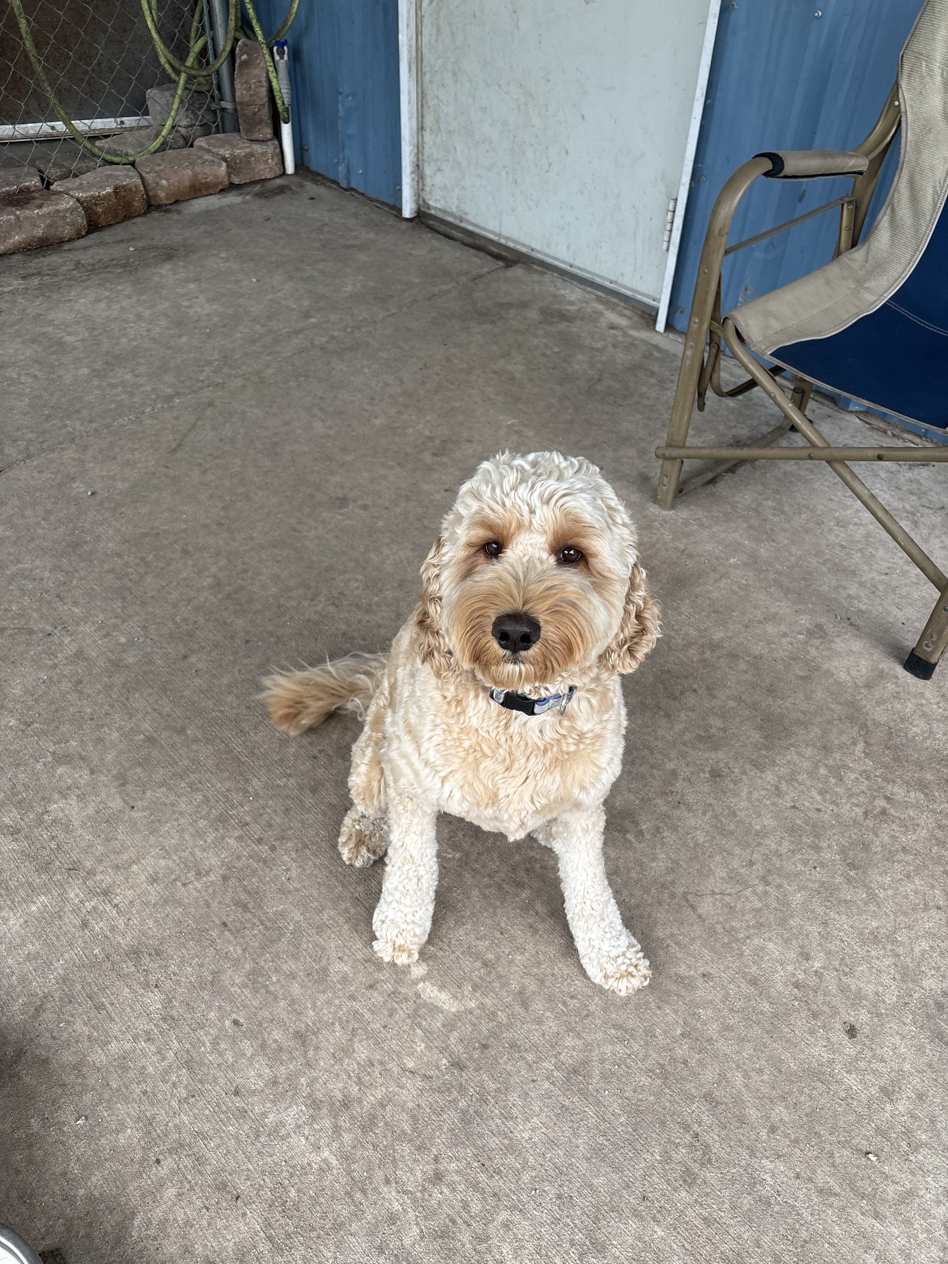 Mr. Tucker