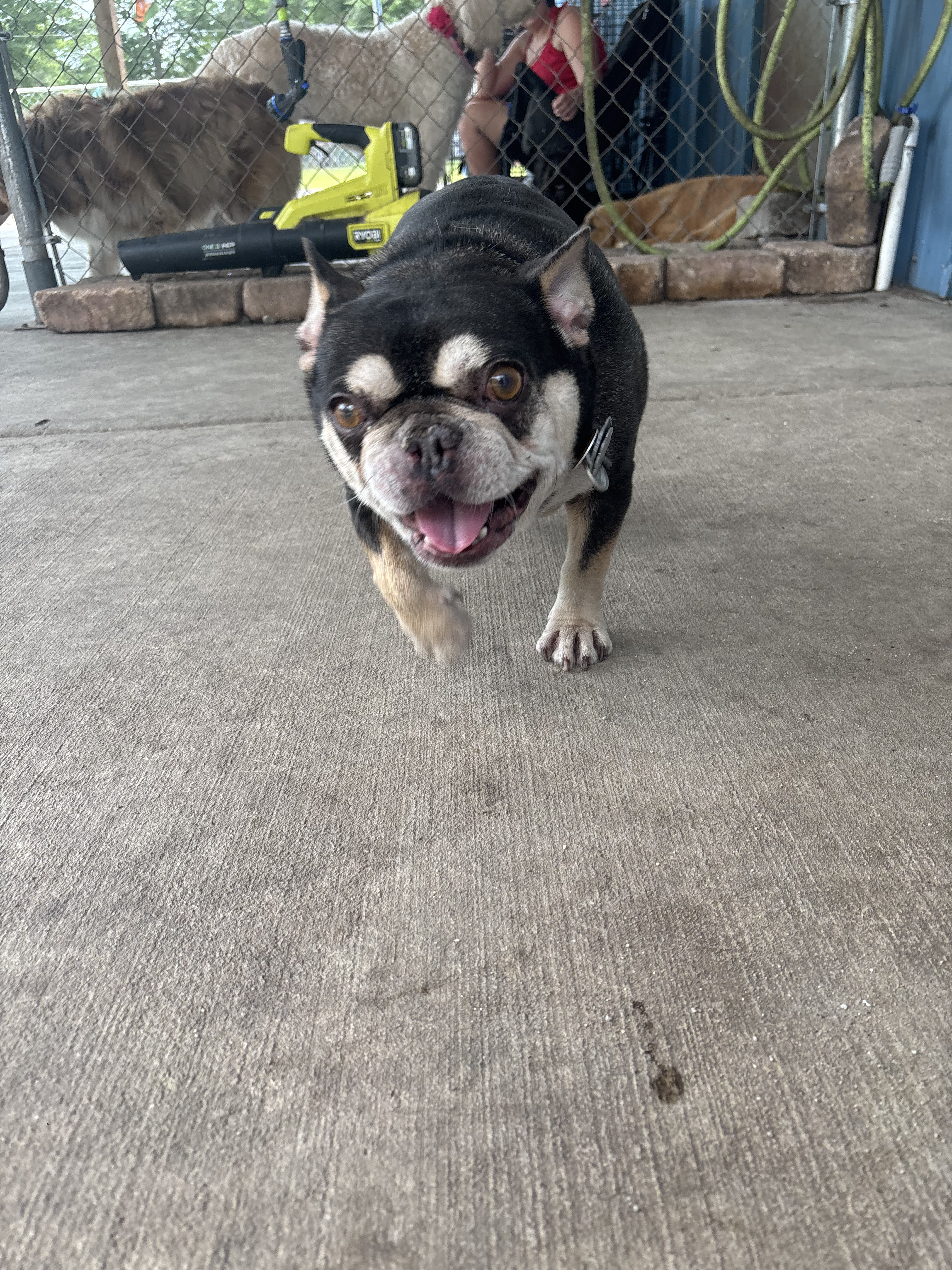 Miss Ethel