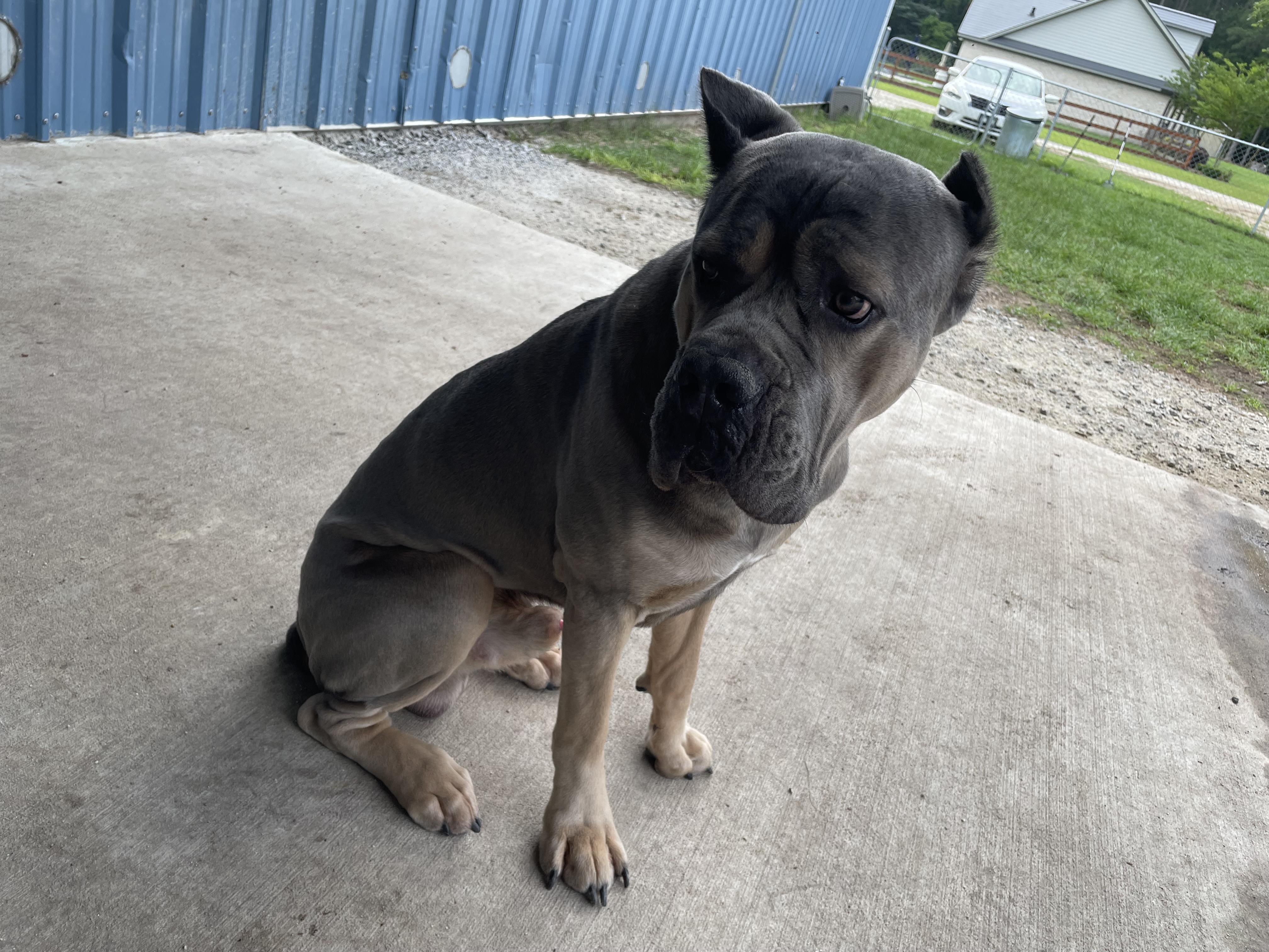 Handsome Mr. Bruce