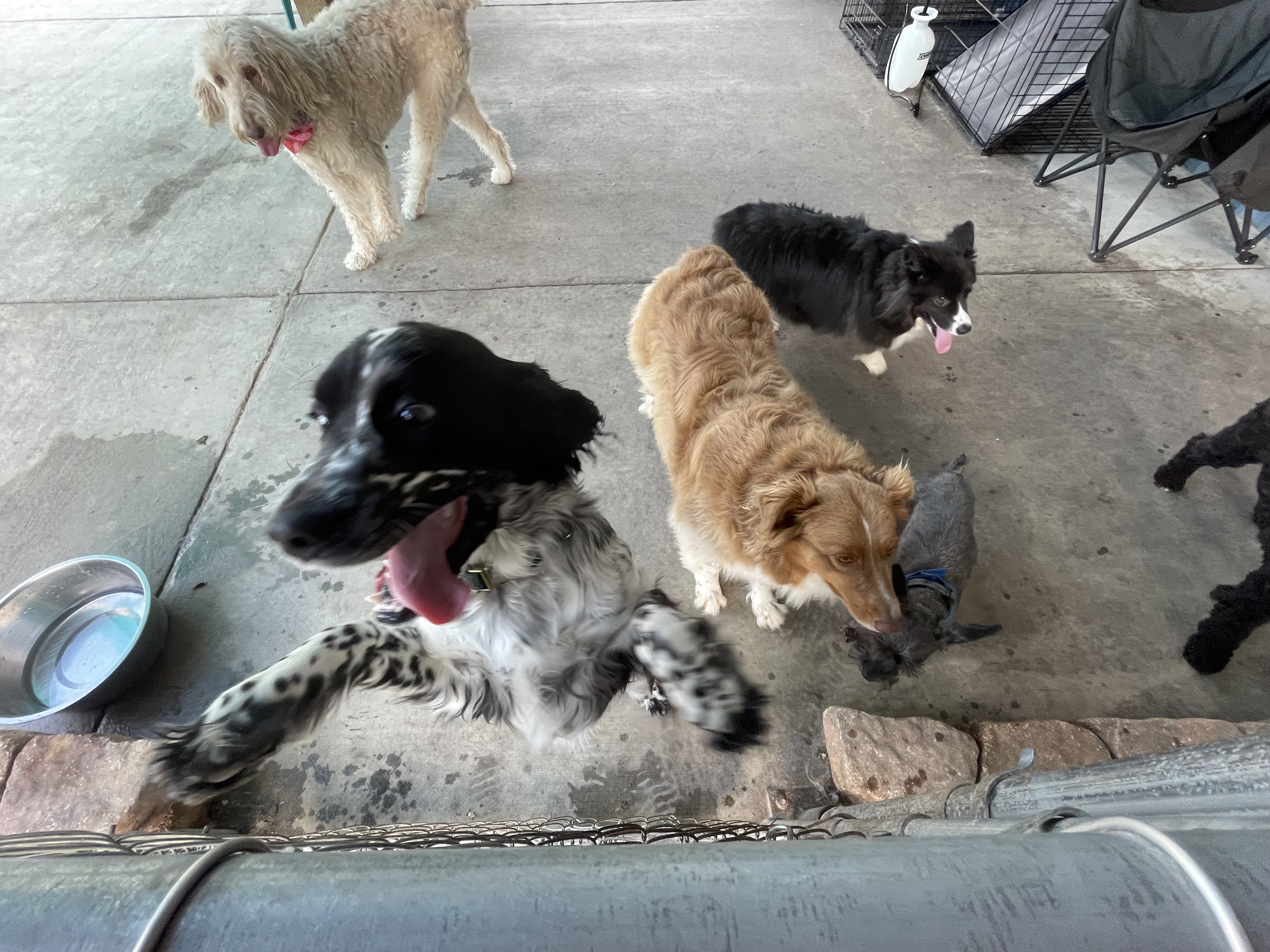 Play time