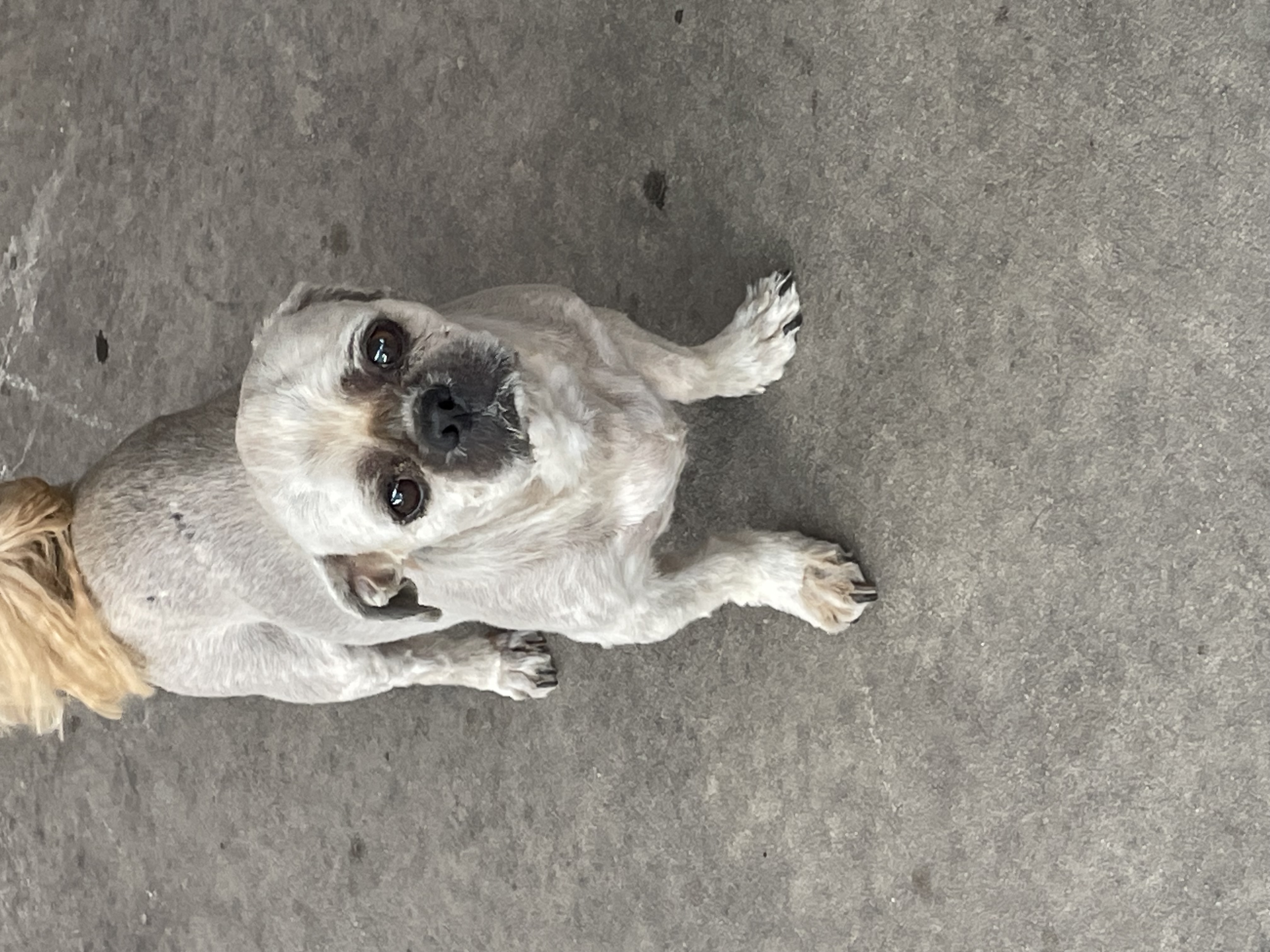 Max