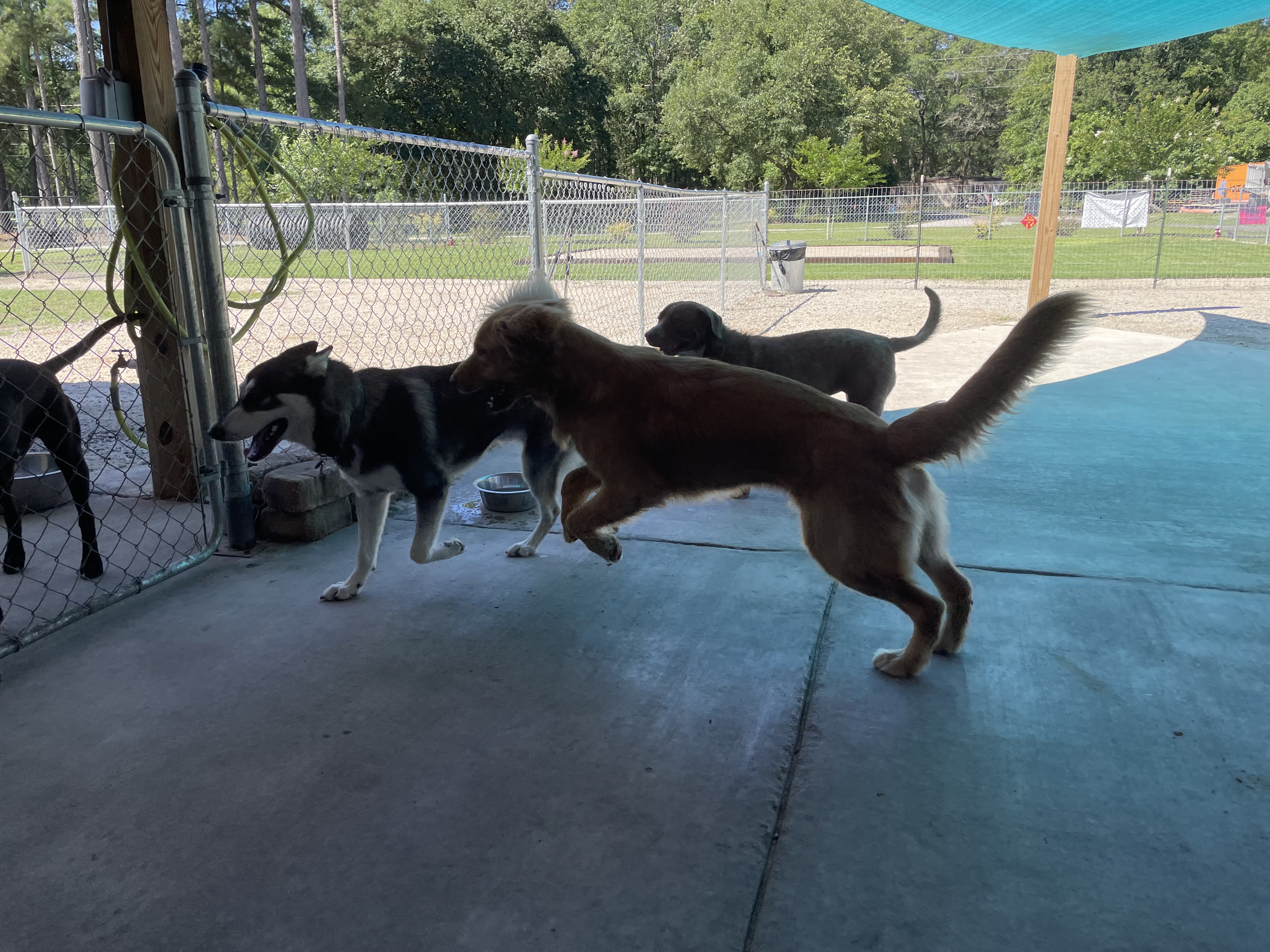 Daycare