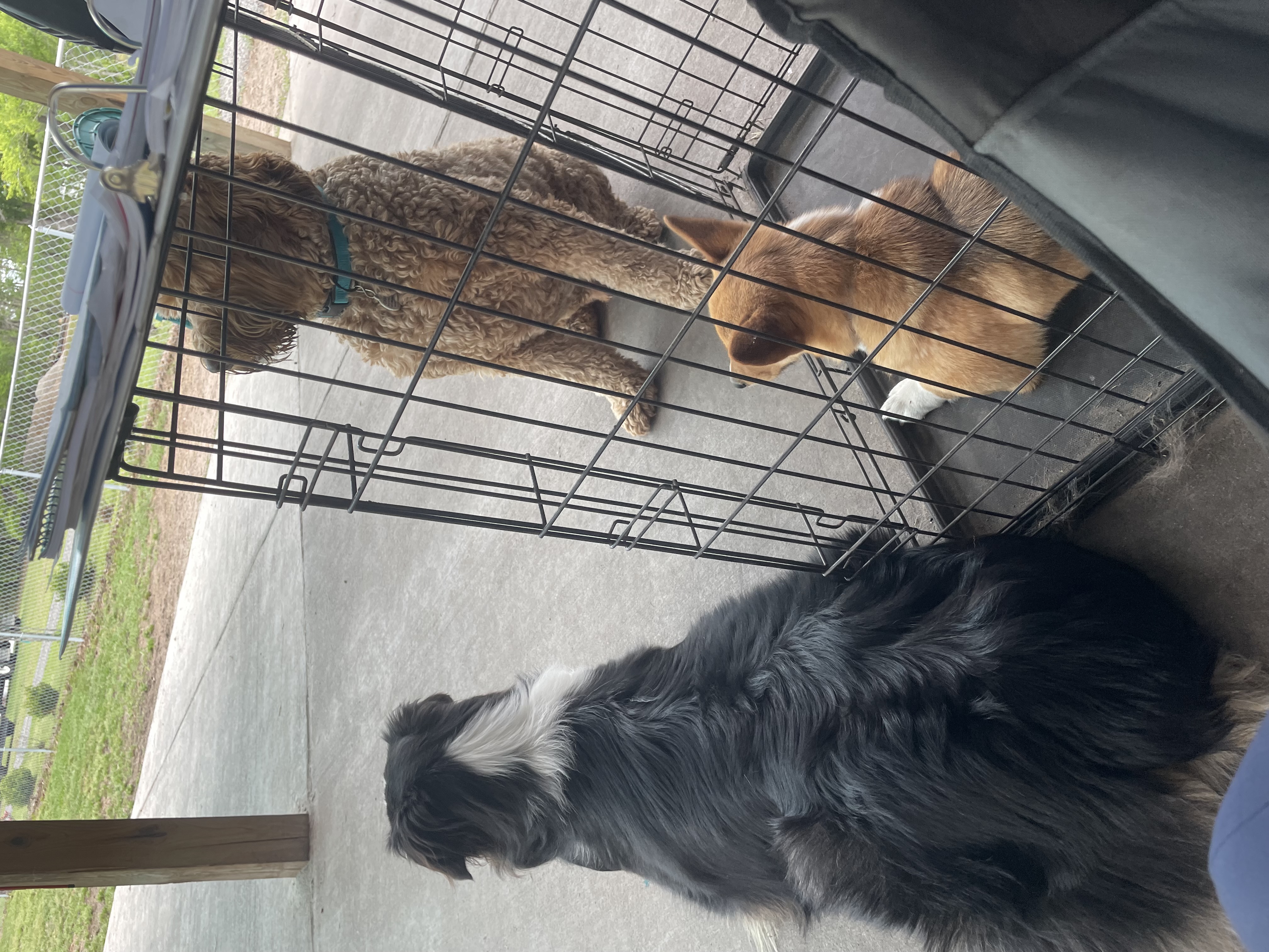 Sometimes we just sit in the crate