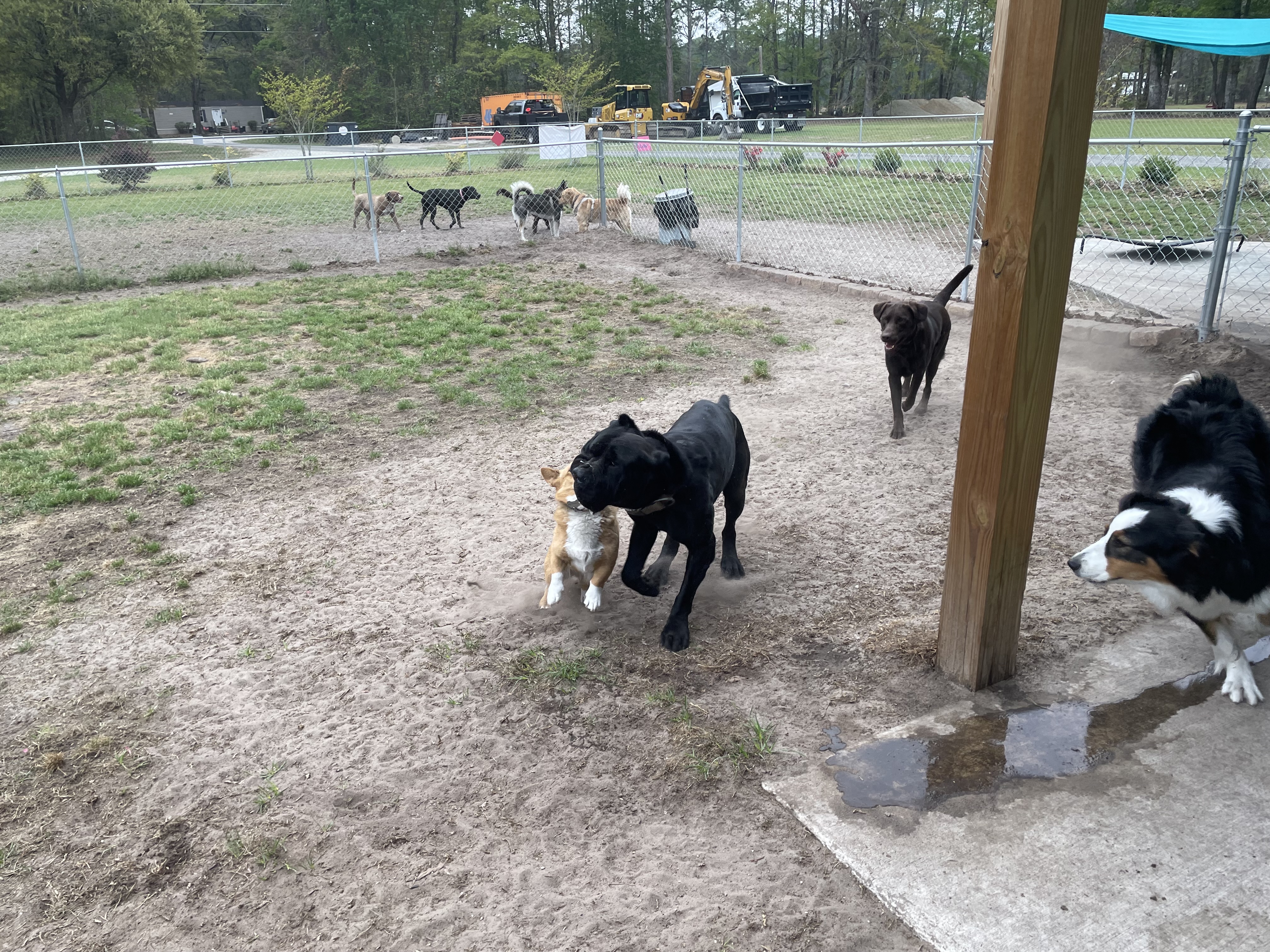 Play time