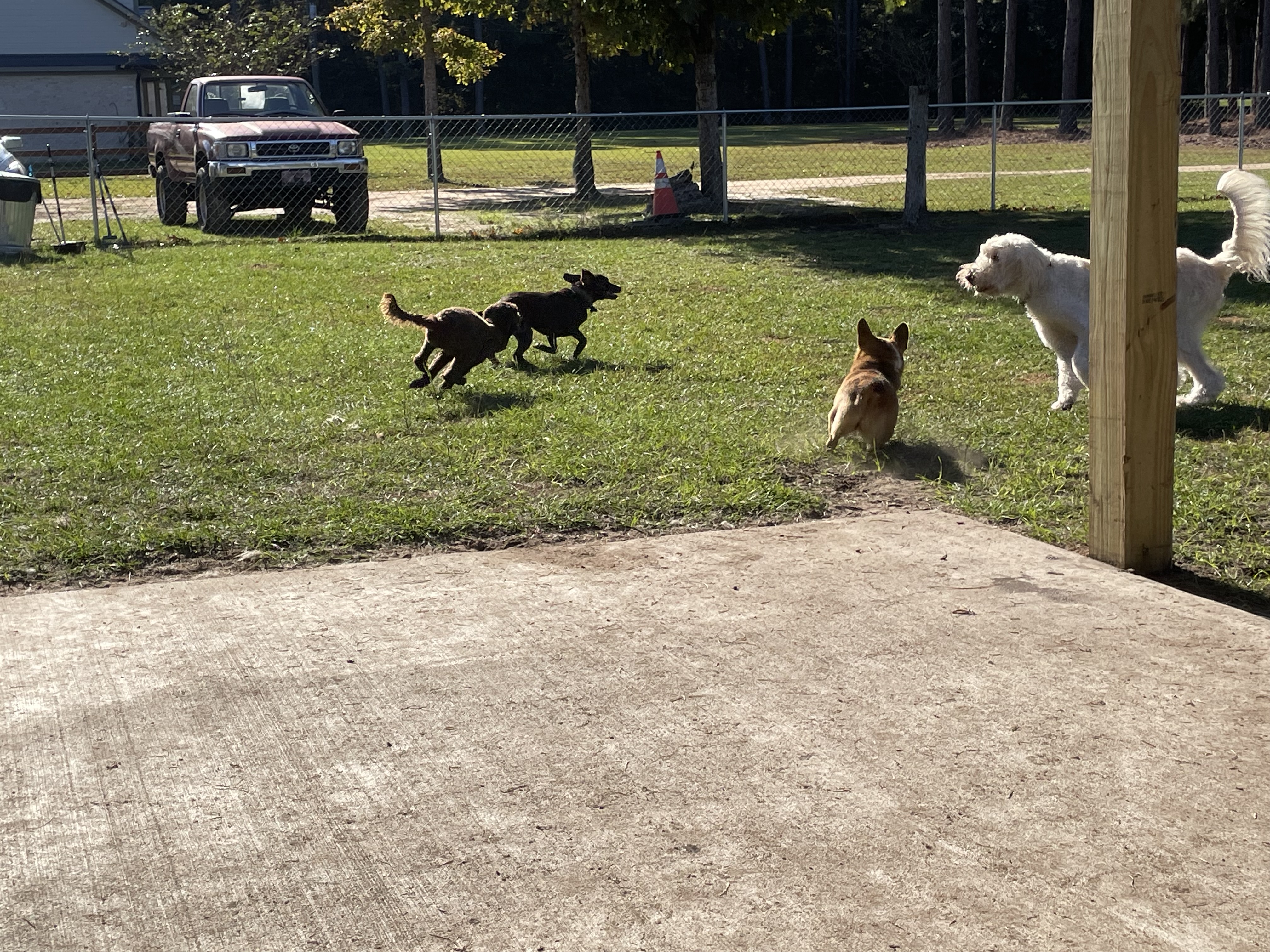 Play time