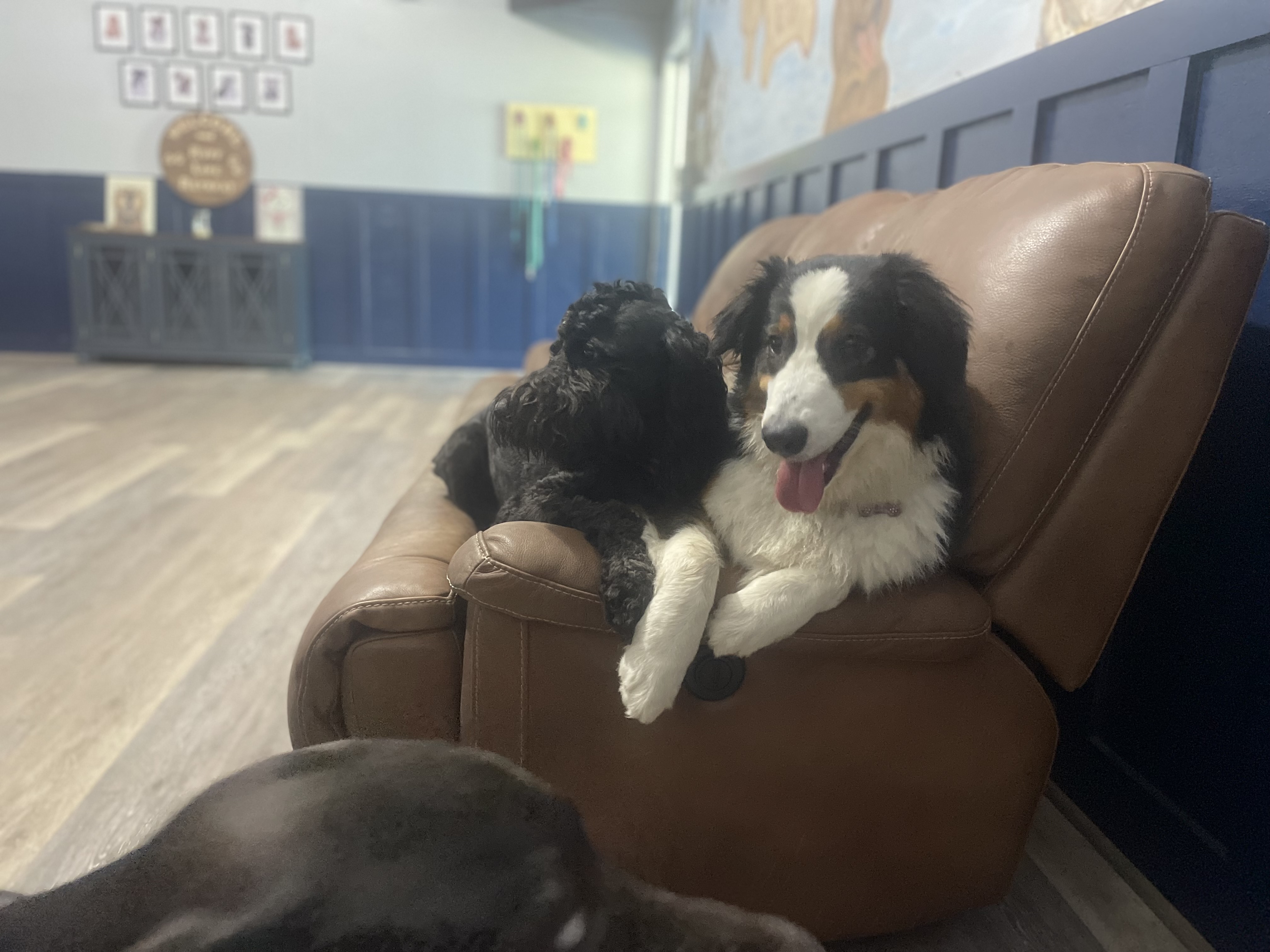 Waffles and his girlfriend Maisie