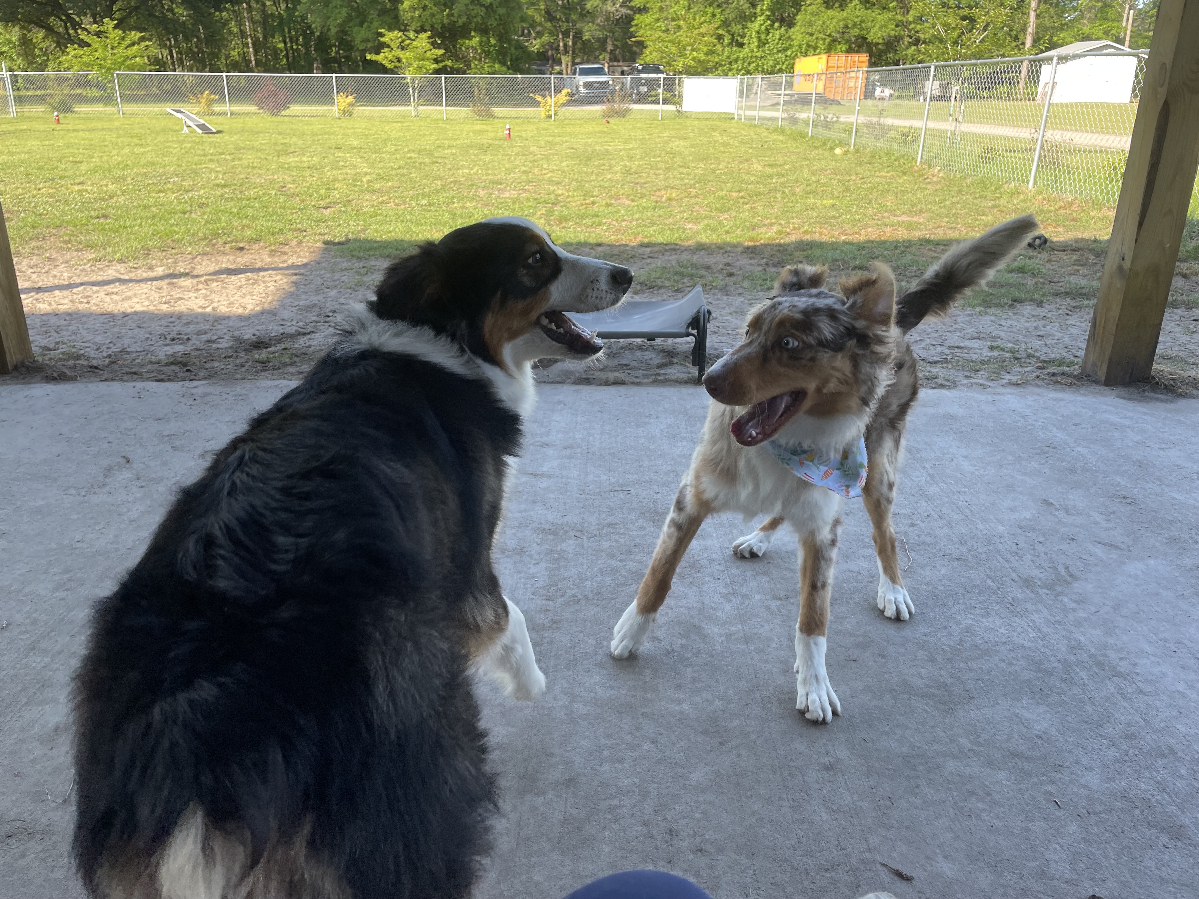Ranger and Maisie