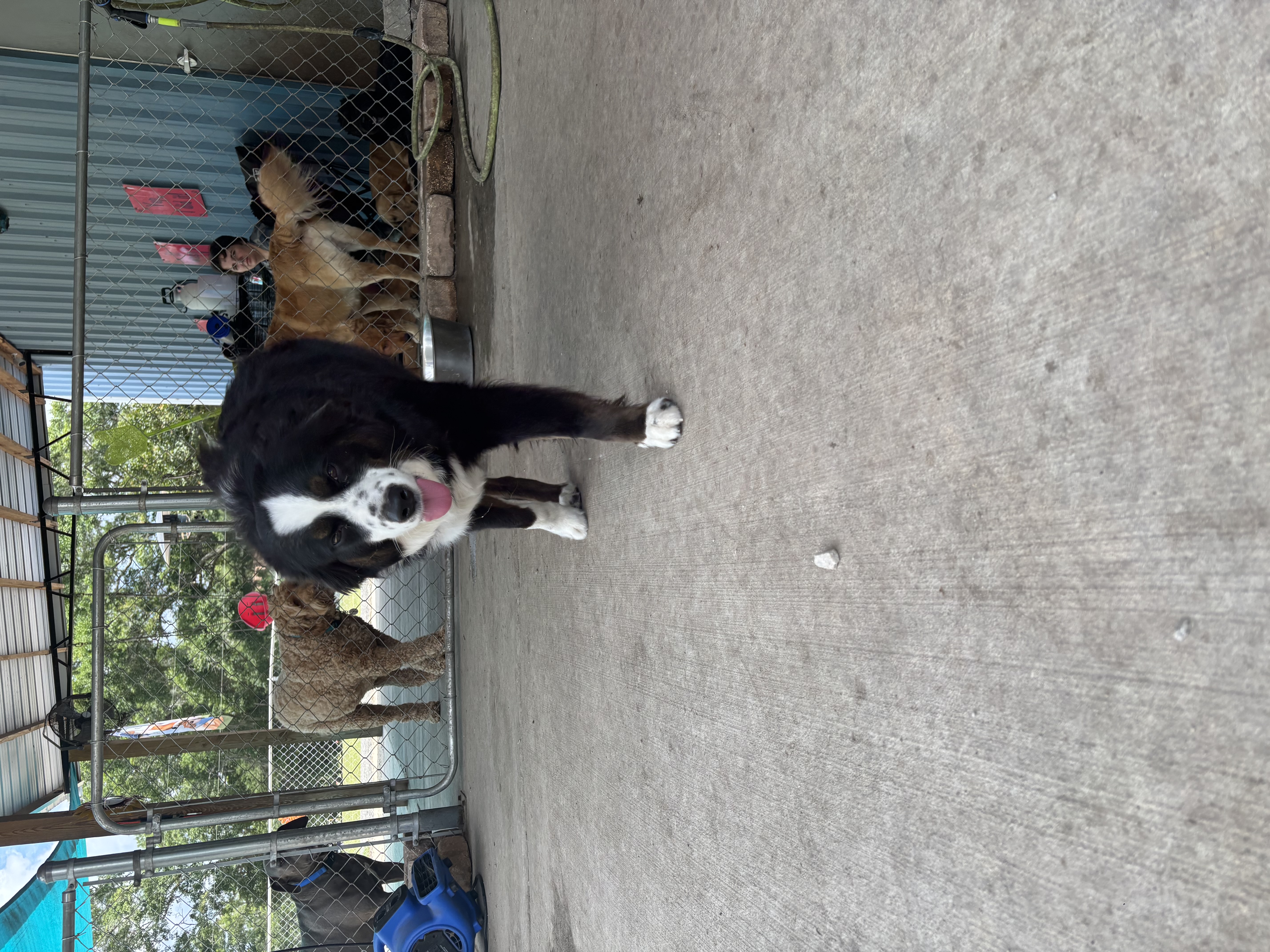 Stryder