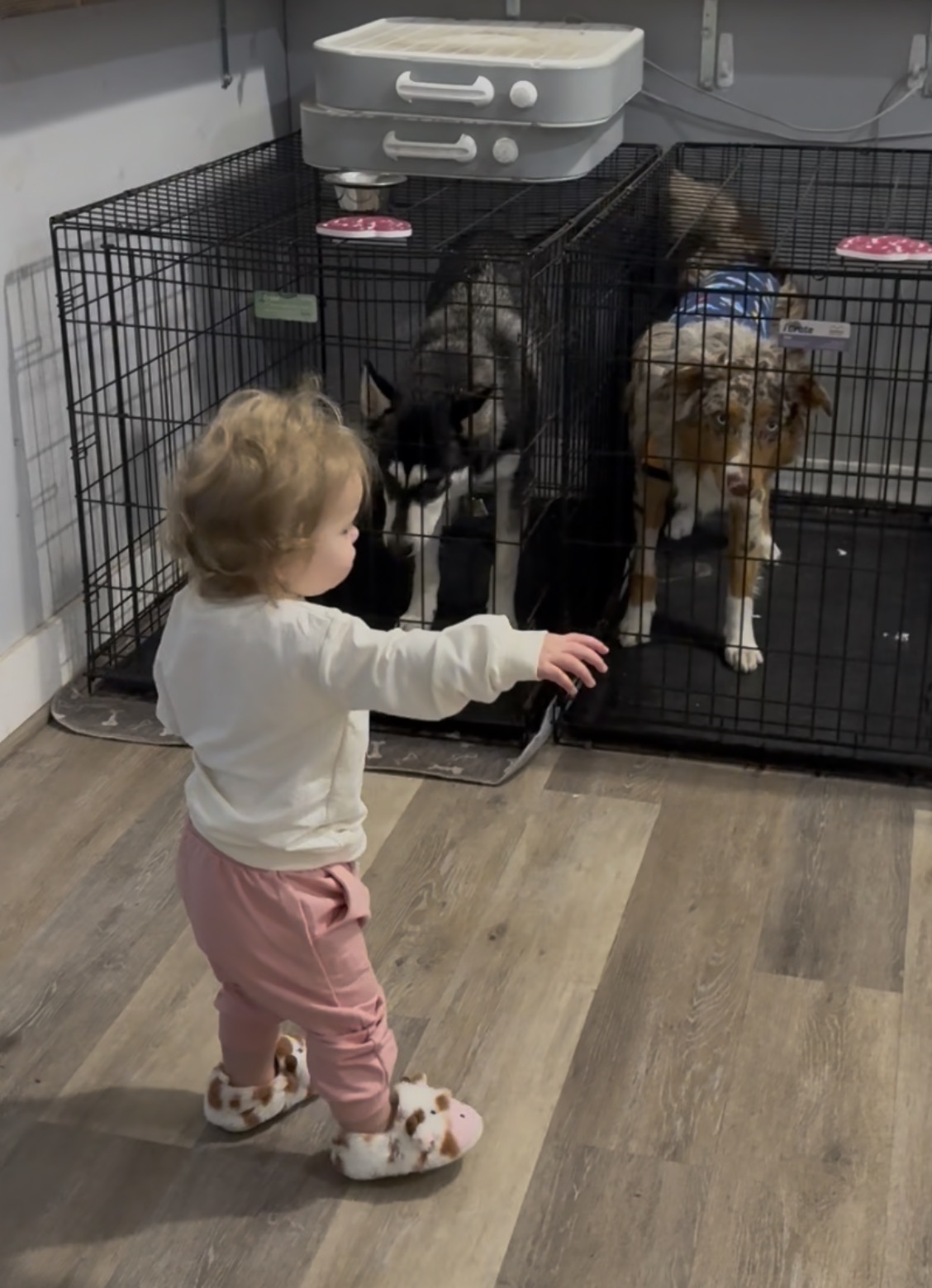 Our sweet Madalynn taking charge