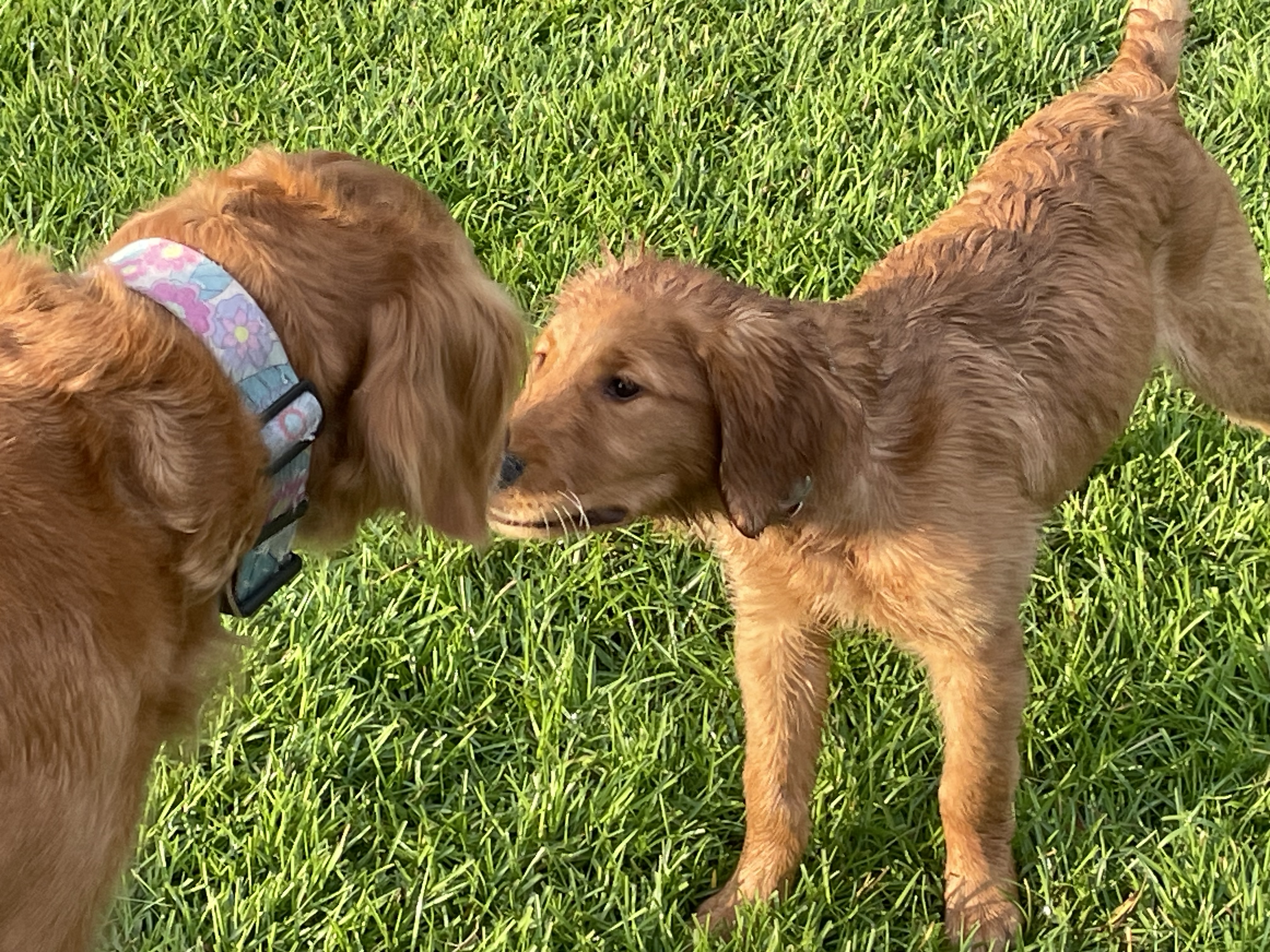 Jenny and lily