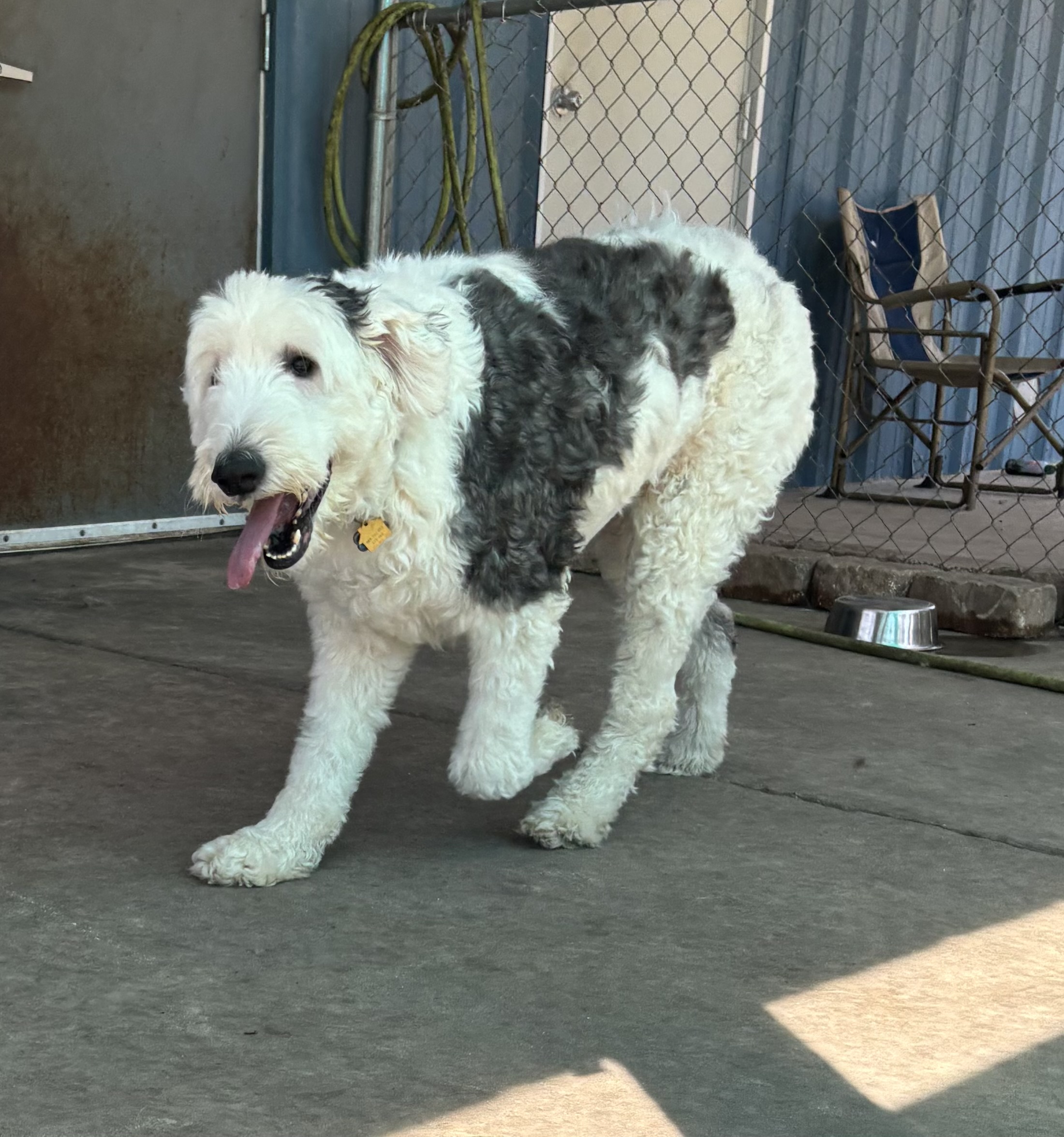 Archie