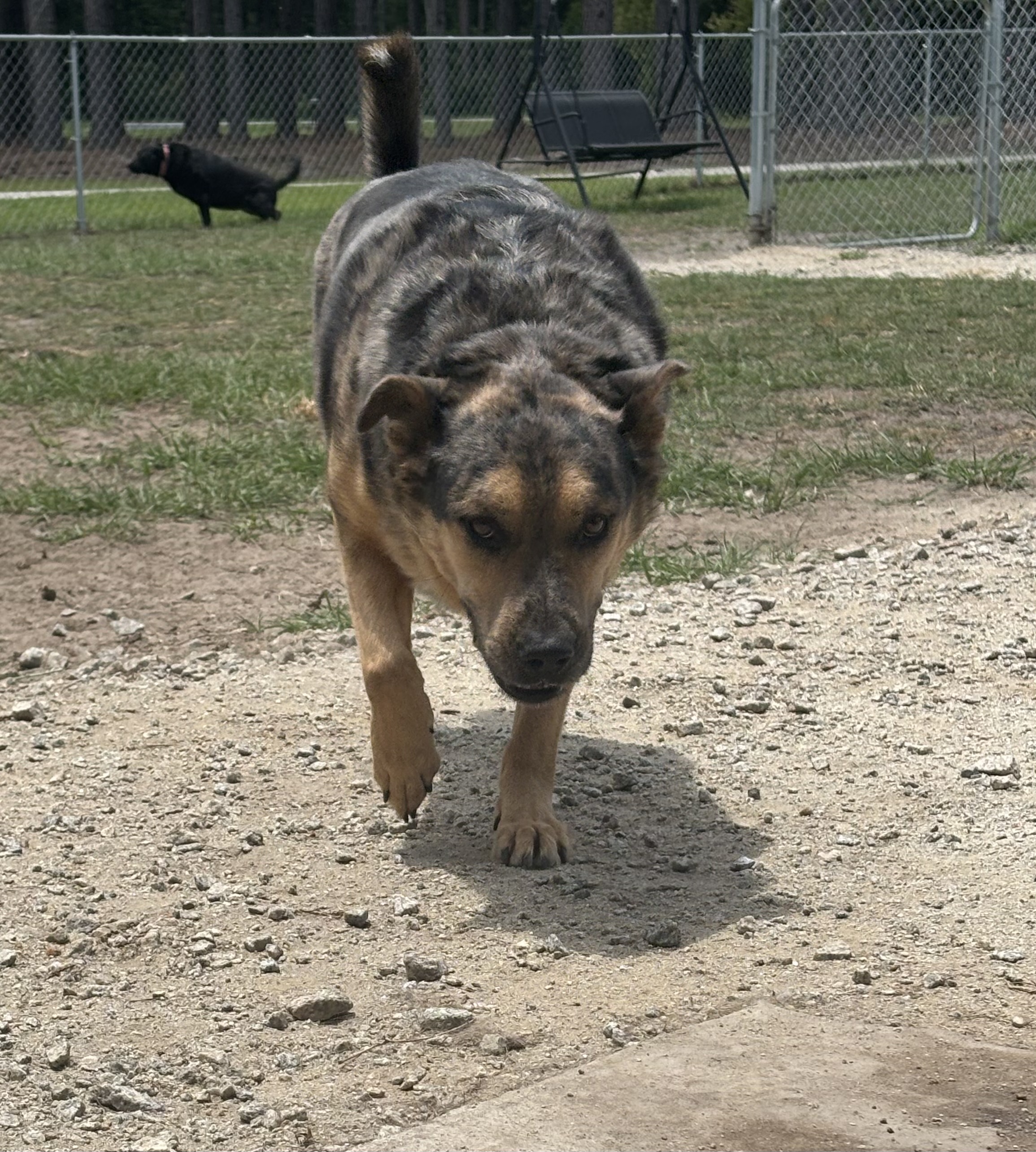 Odin