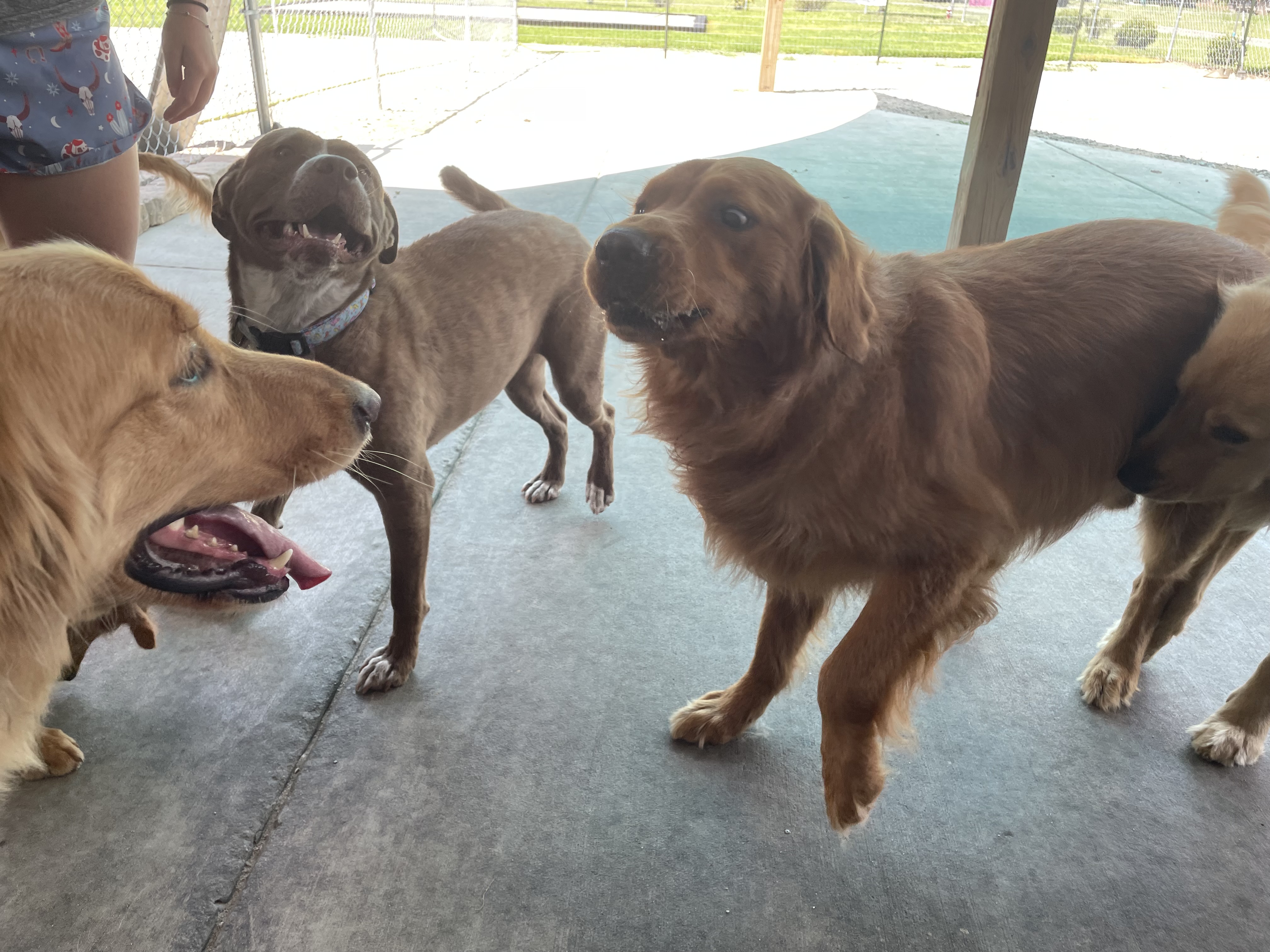 Playday