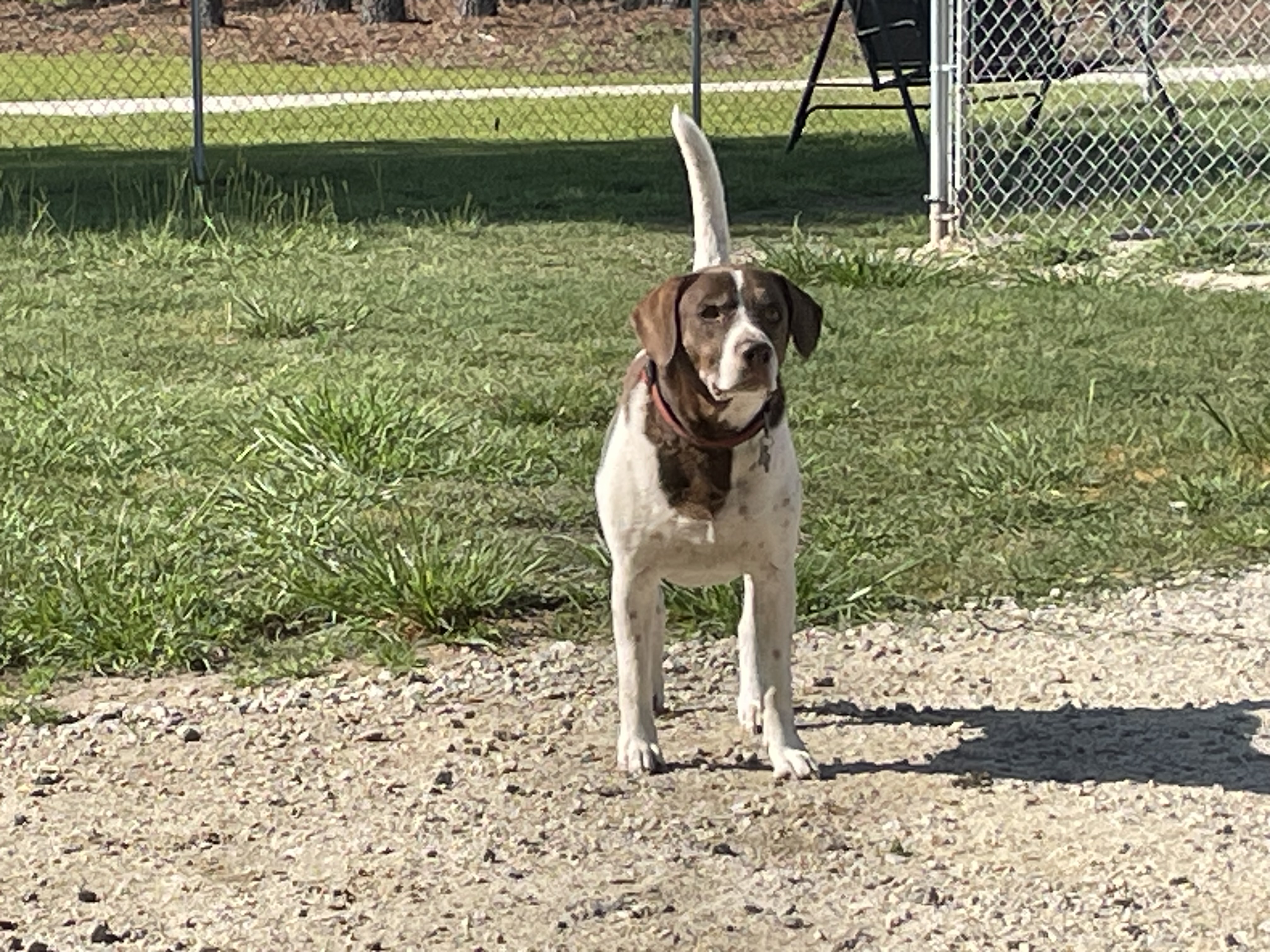 Handsome Boy