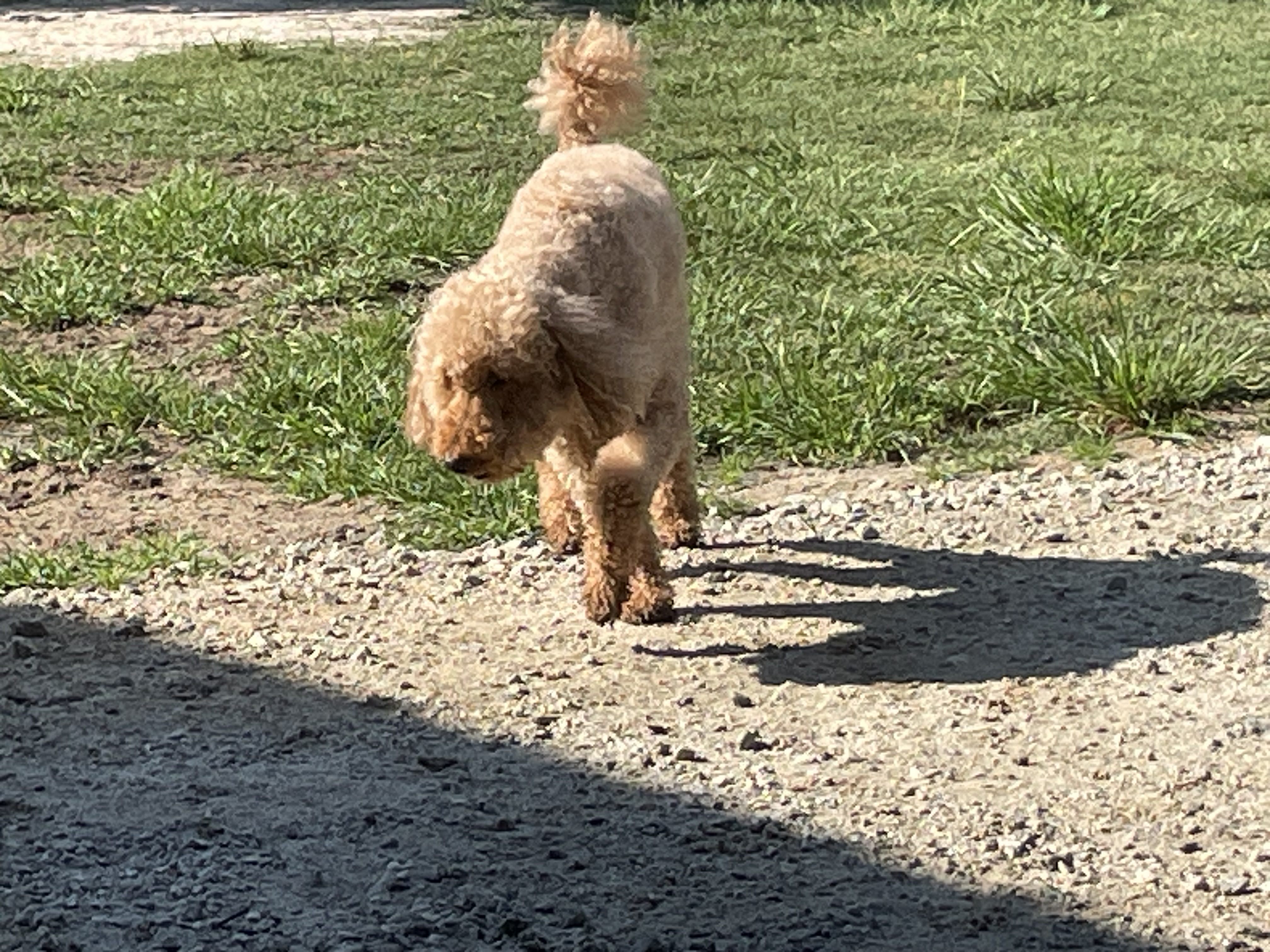 Copper