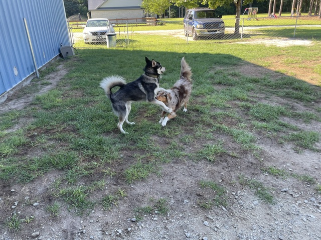 The boys