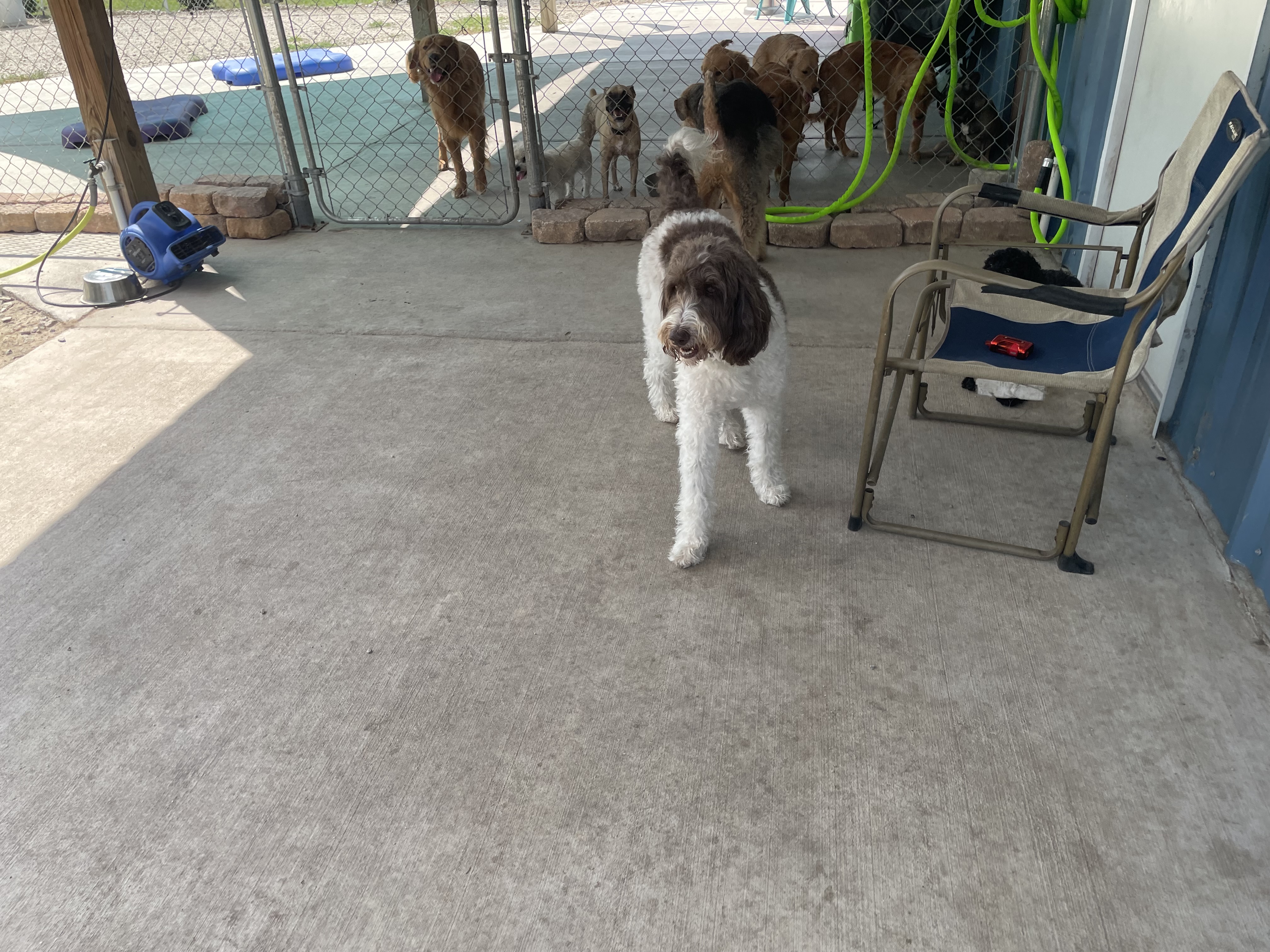 Mr Hank