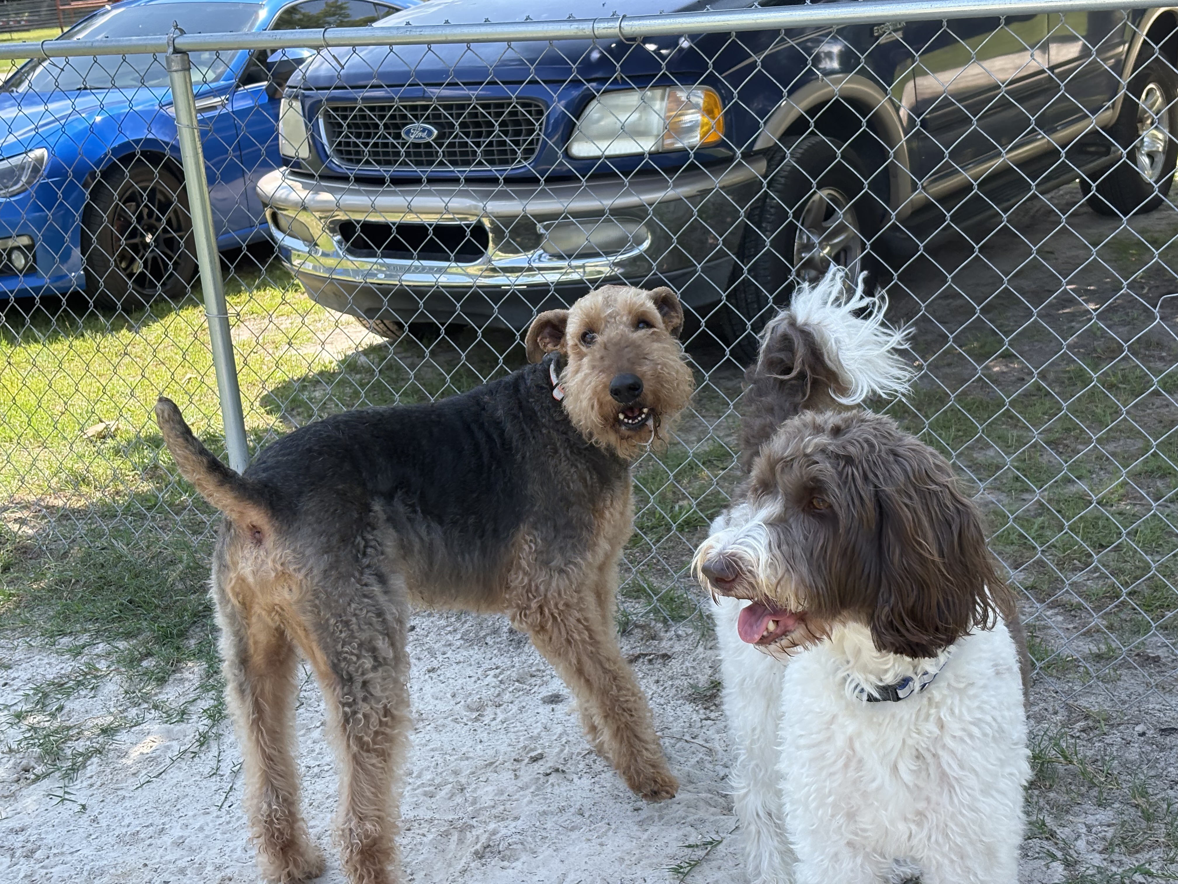 Gunny and Hank