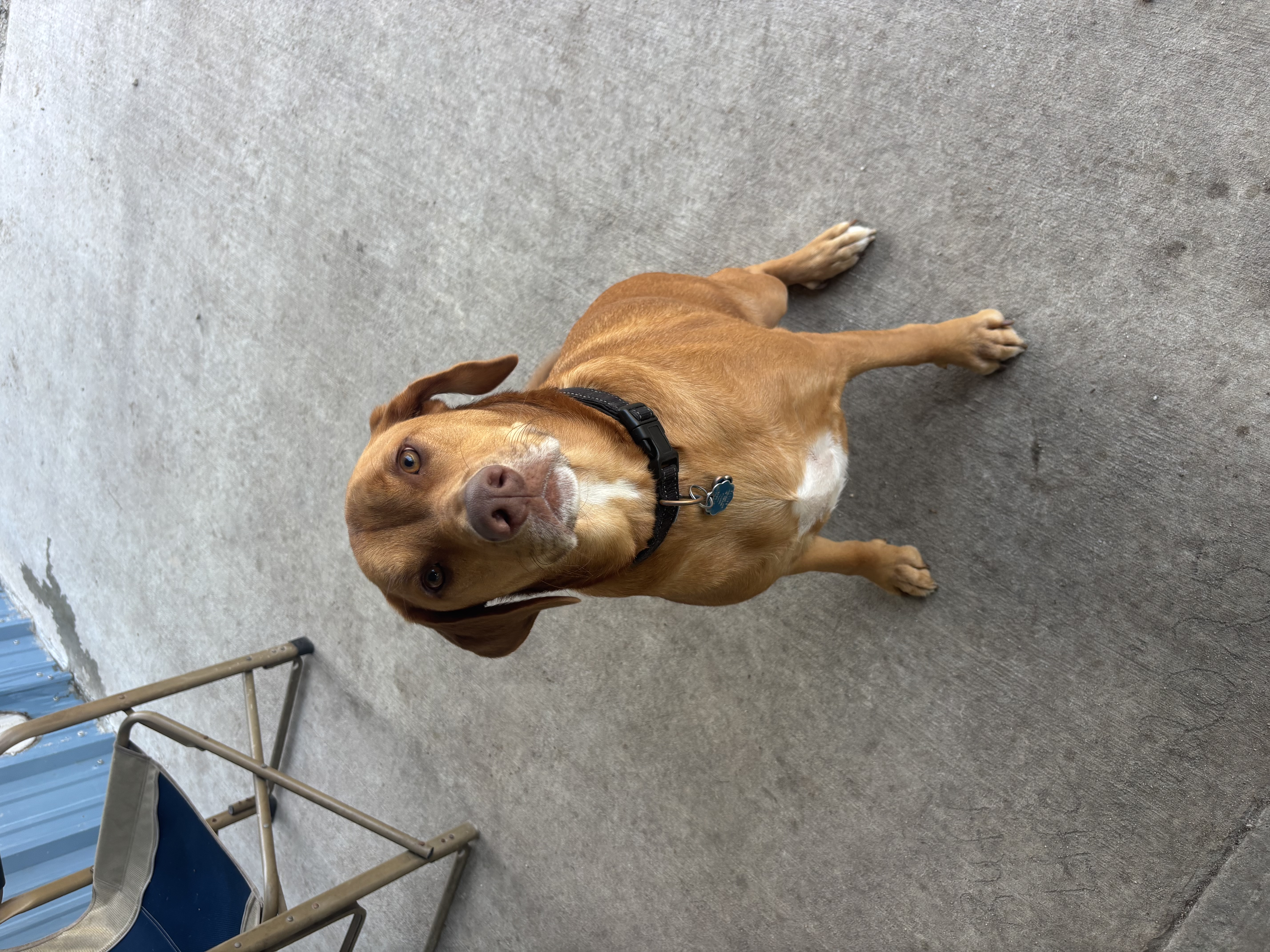 Max