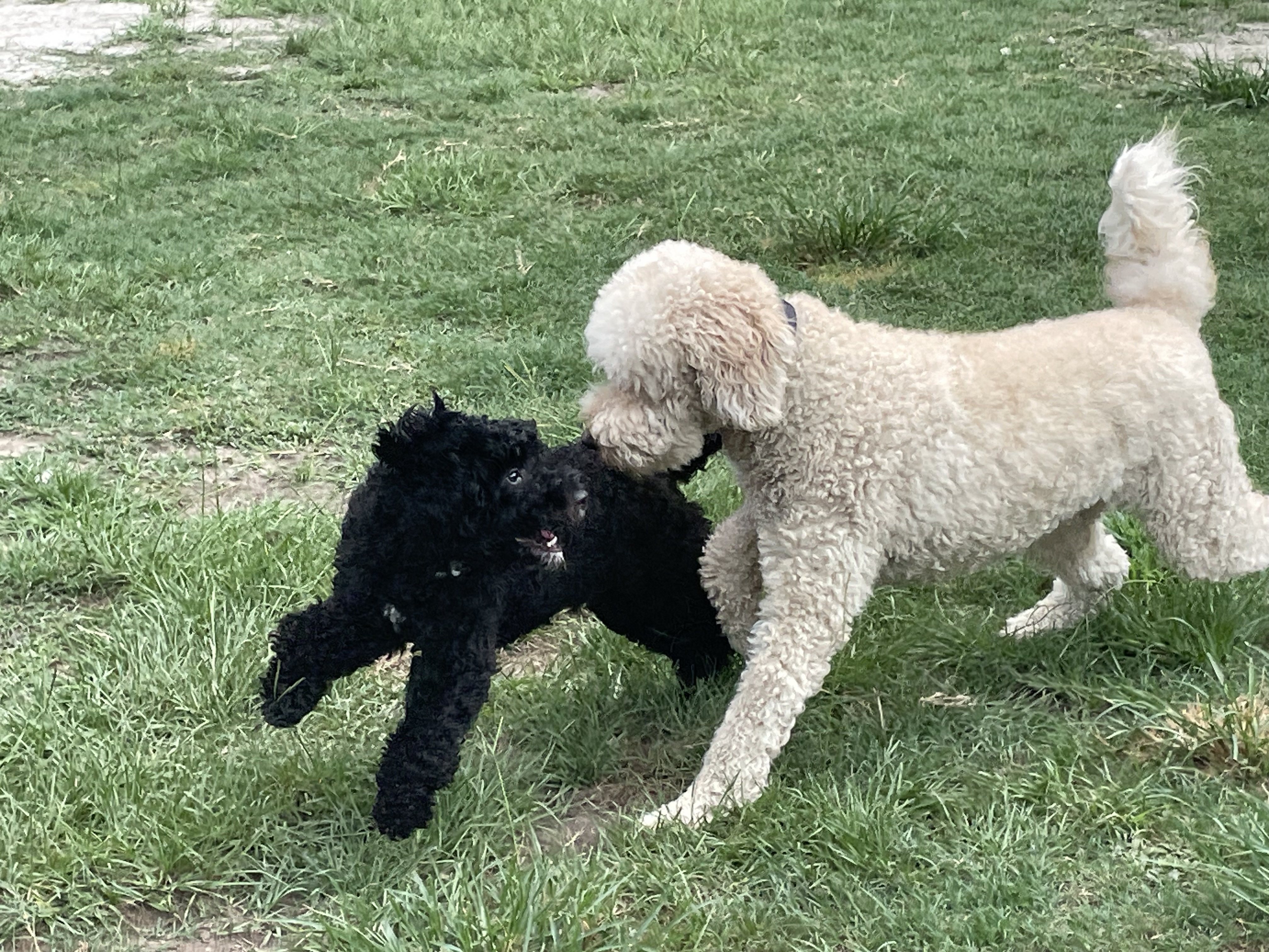 Daycare Fun