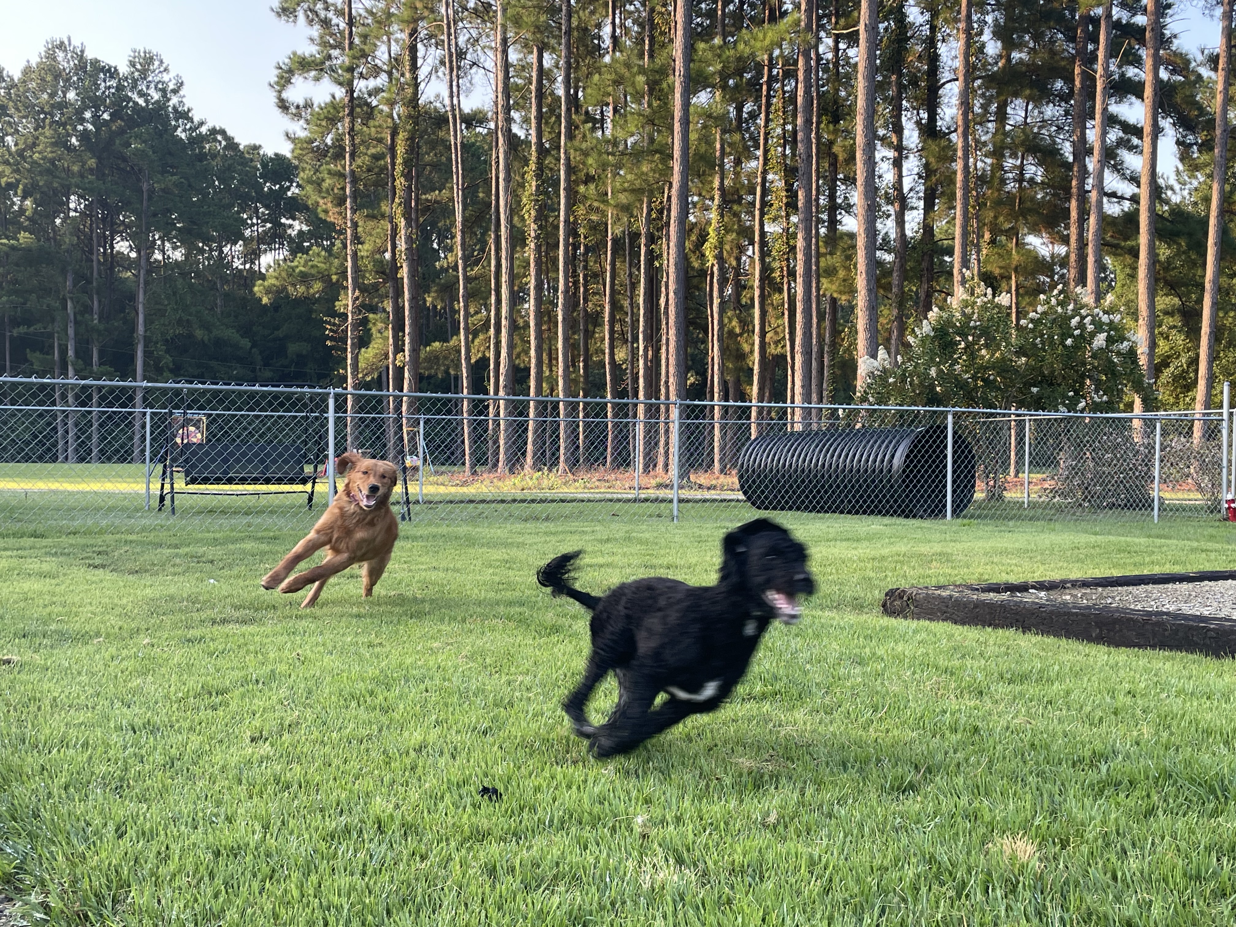 Daycare