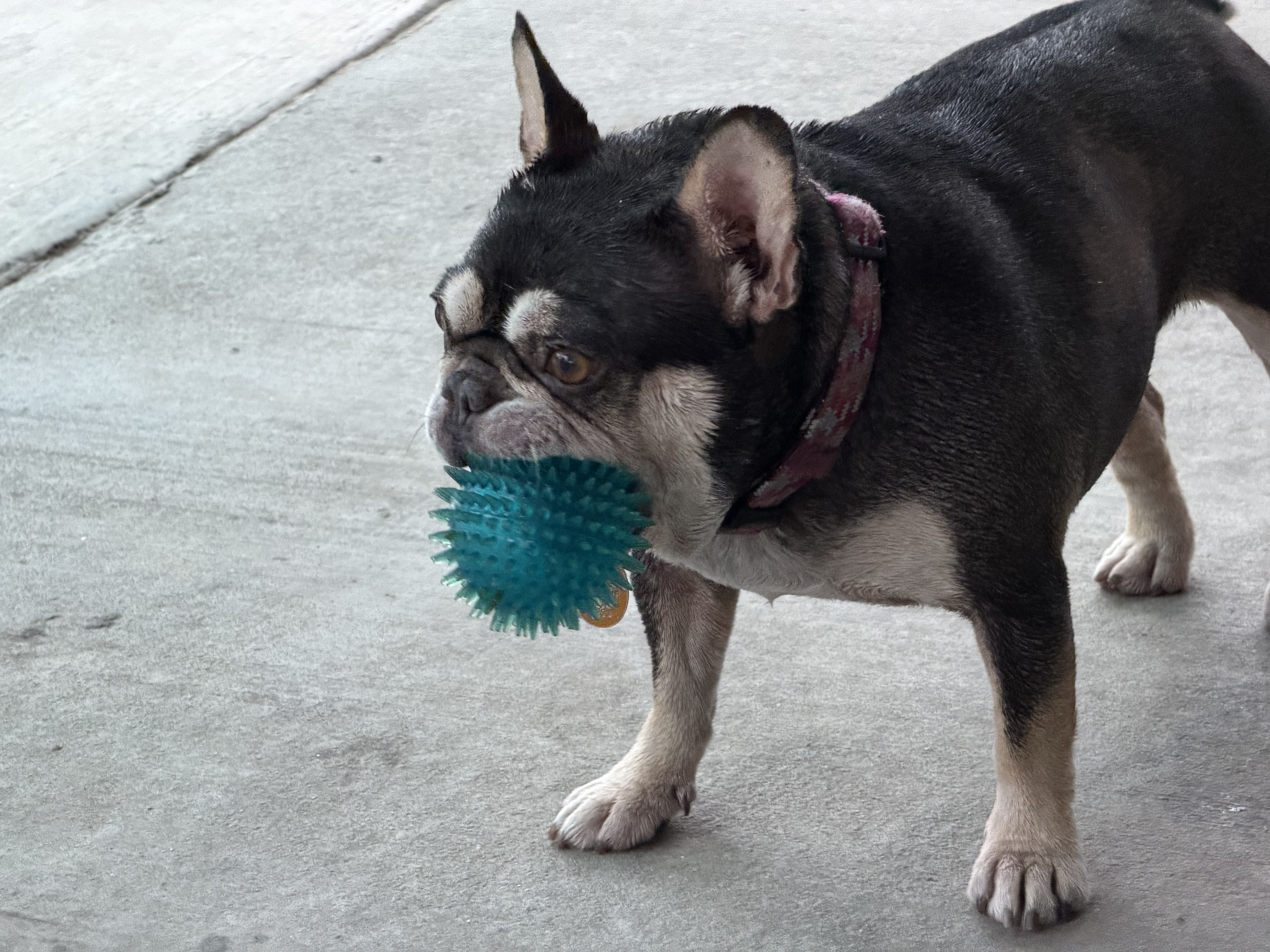 Ethel